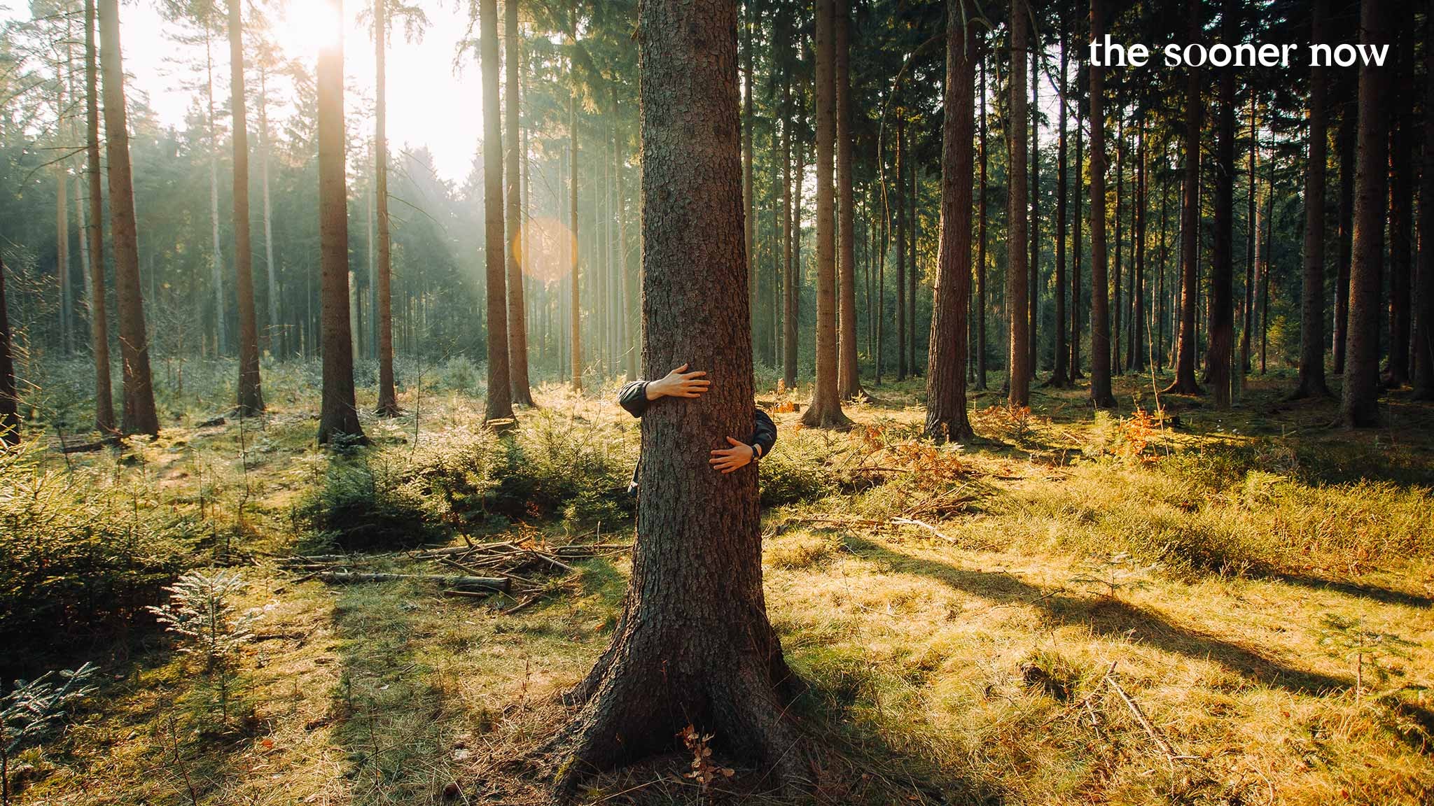 The Sooner Now - Waldbaden